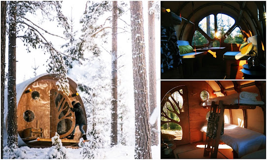 Forest-Cabin-in-Sweden.jpg