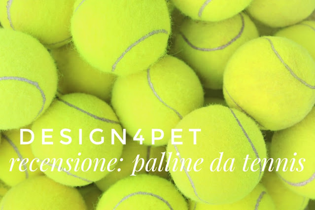 Design4Pet_recensione_palline da tennis