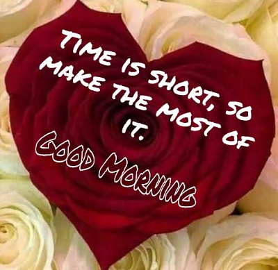 Amazing Images of Good Morning Wishes with Flowers Amazing Images of Good Morning Wishes with Flowers