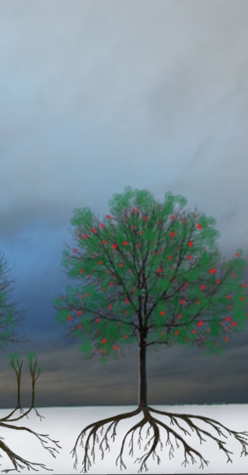 Third Tree Thoughts from the Desert
