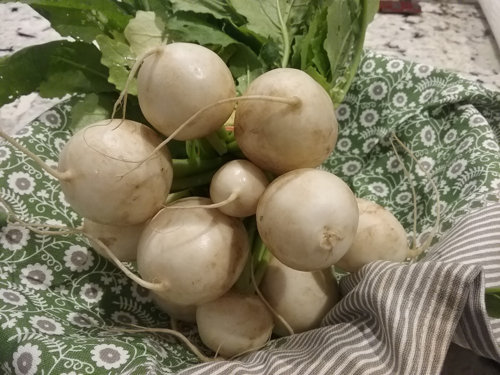 Gluten Free AZ How to Cook Turnips So They Taste Good