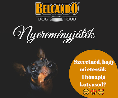 Belcando dog food Nyereményjáték