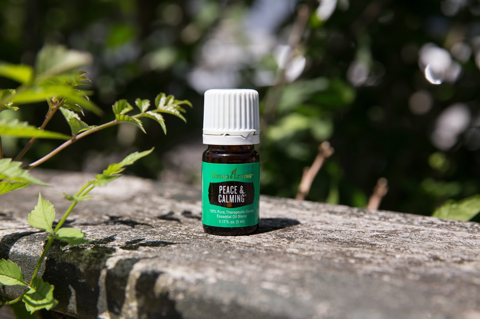 6 Best Essential Oils For Sleep