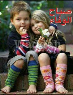 ff588658d81f06fe5c4c87625e56eba9