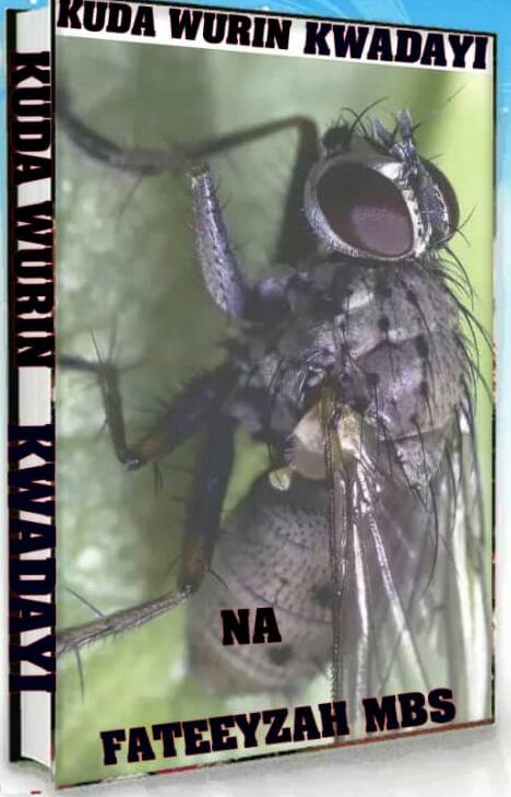 KUDA WURIN KWADAYI🐝 CHAPTER 3 BY FATEEYZAH MBS KUDA WURIN KWADAYI🐝 CHAPTER 3 BY FATEEYZAH MBS