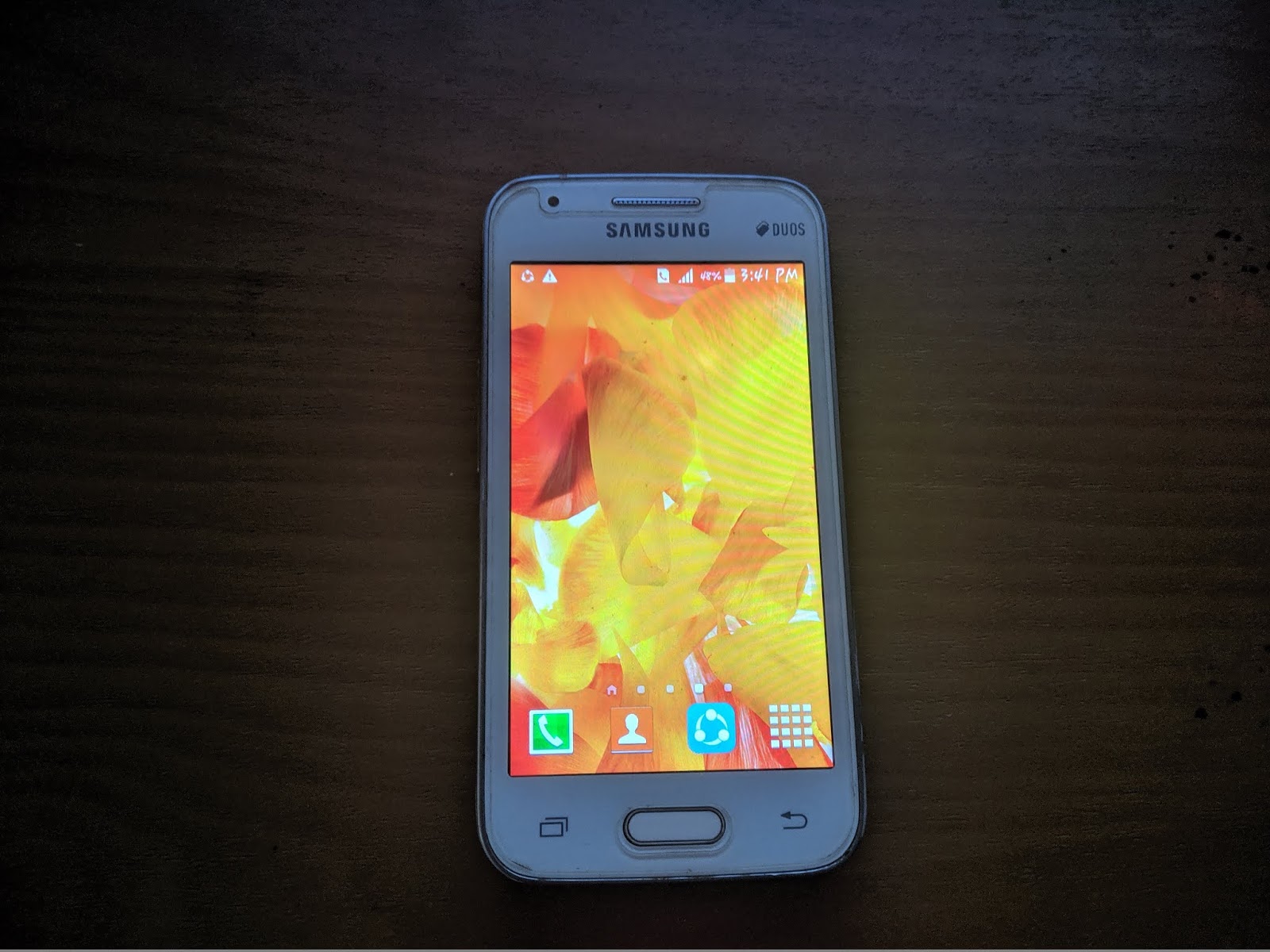 Samsung Galaxy V SM-G313HZ