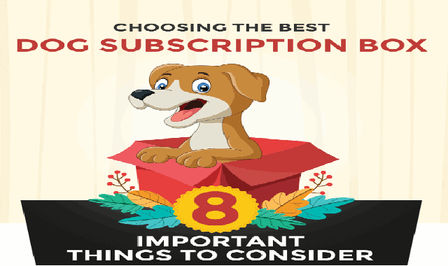 The 11 Best Dog Subscription Boxes for 2020 #infographic