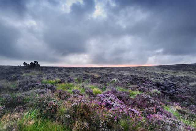A view over the Exmoor moor land on an overcast morning by Martyn Ferry Photography