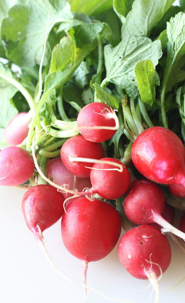 fresh red radishes with leafy green tops