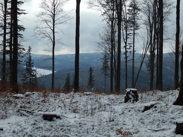 Korona Gór Polski trasy