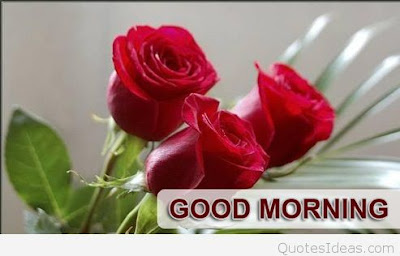 good morning good morning