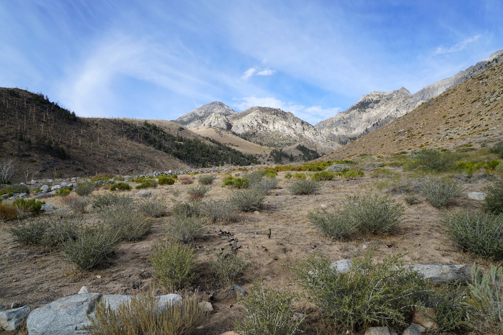 Mid Sierra Musings The Trail To Baxter Pass