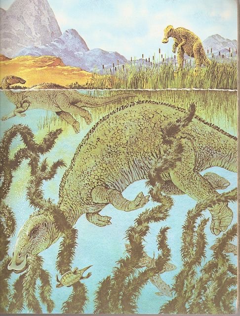Dinossauros | Dinosauriformes