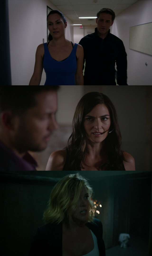 S.W.A.T.: Under Siege (2017) HD 1080p y 720p Latino