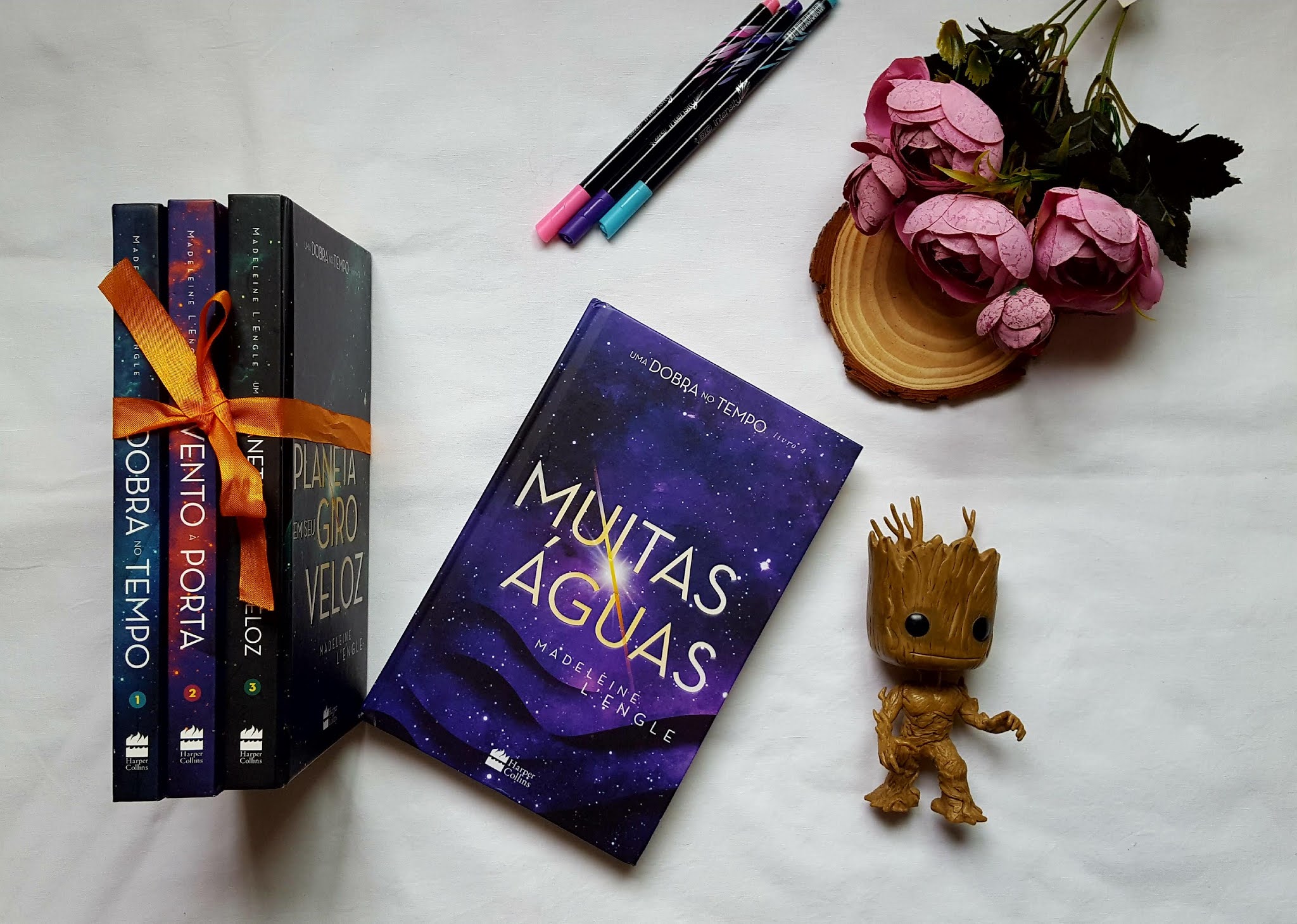 Muitas águas | Madeleine L'Engle