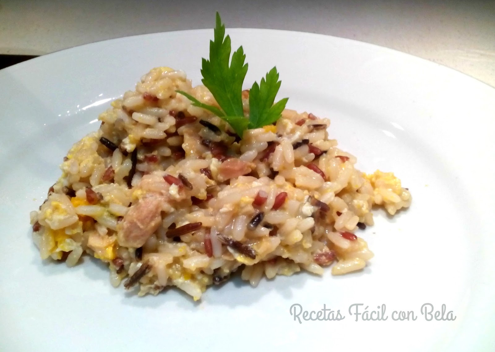 Arroz frito con atún y huevo - Recetas Fácil con Bela