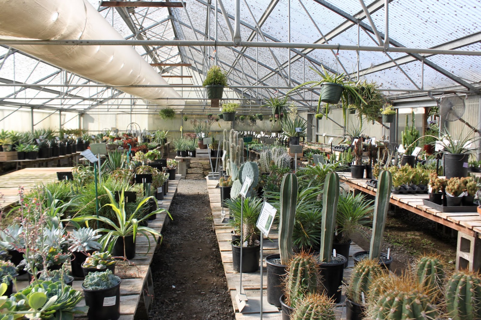 Half Moon Bay Nursery