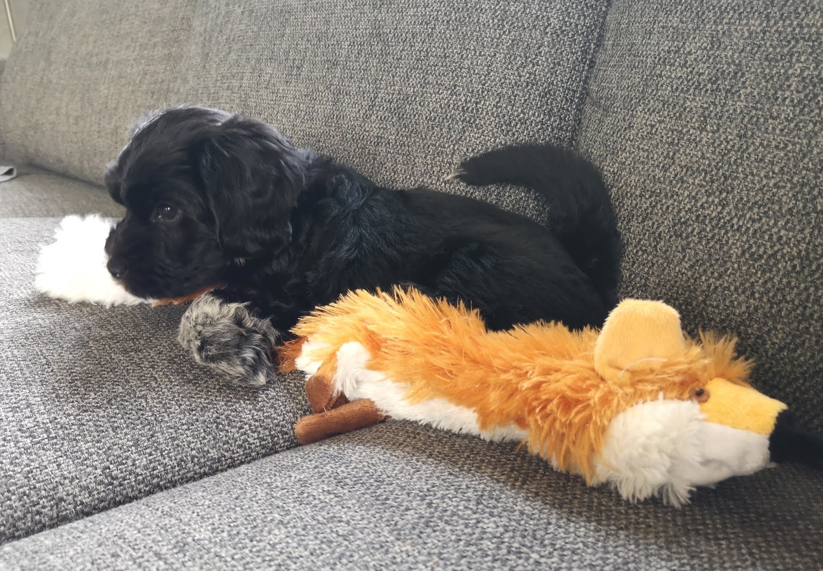 Prada is in the building! HUNDLYCKA