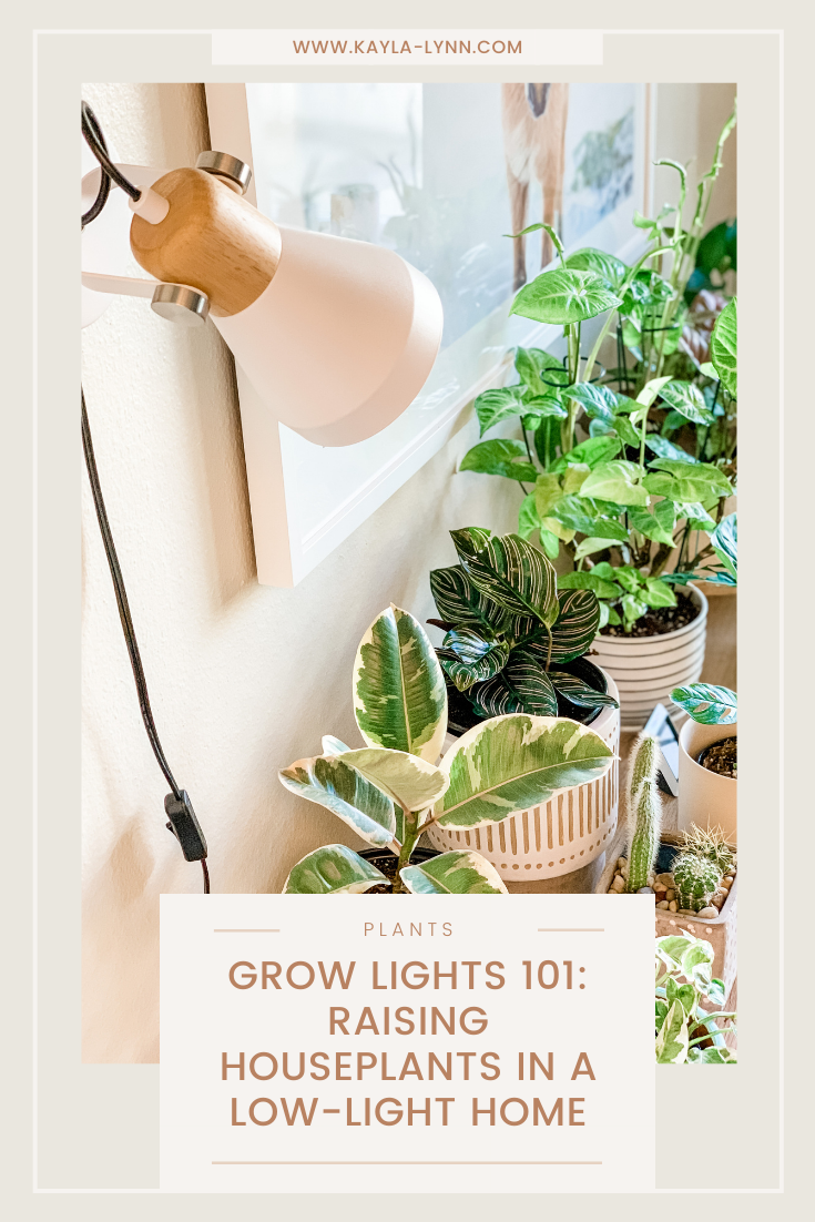 Grow Lights 101 Raising Houseplants in a LowLight Home Kayla Lynn