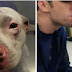 Pit Bull Hit By A Train, Lived To Wag His Tail