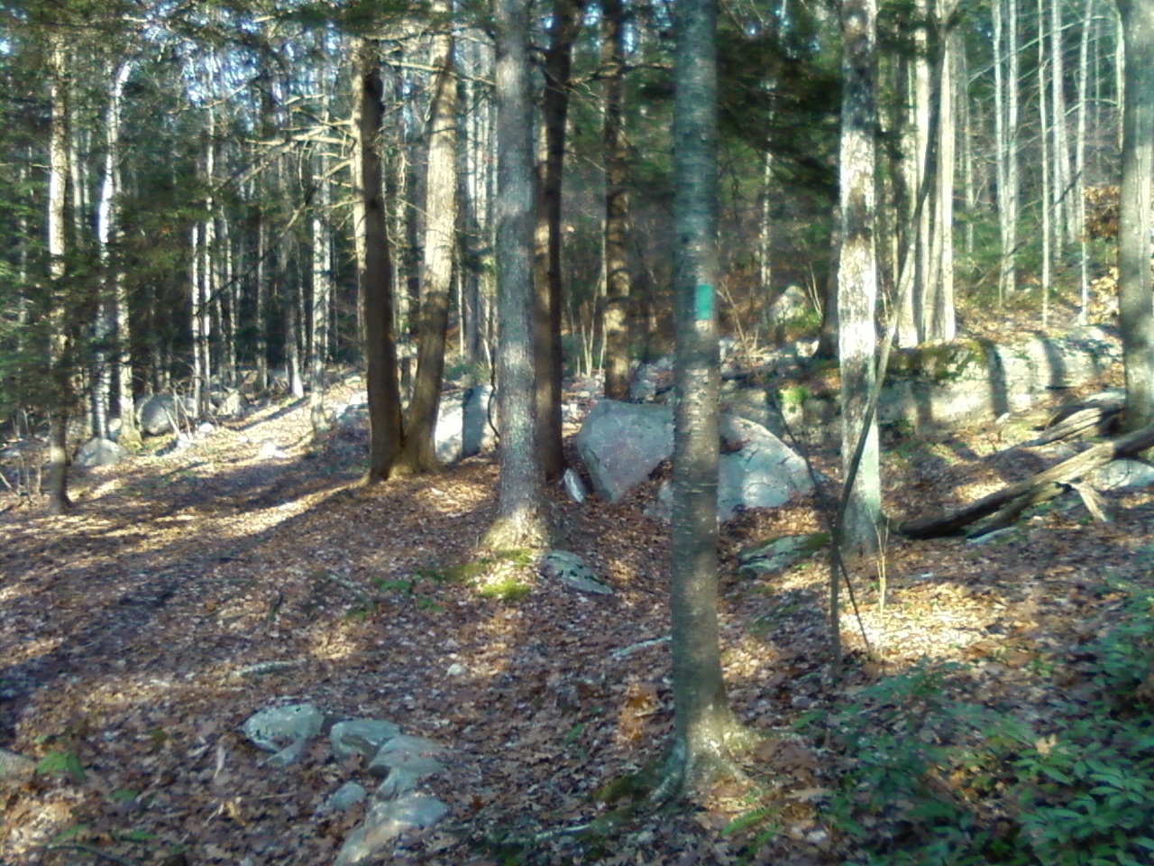 Just a few of my favorite short, overlooked hiking/nature trails in the