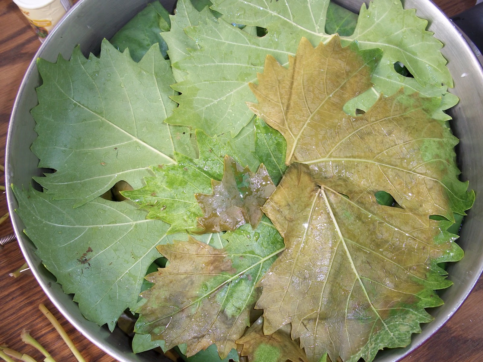 Armenian Stuffed Grape Leaves Recipe Frugal, Vegan Foraged Food