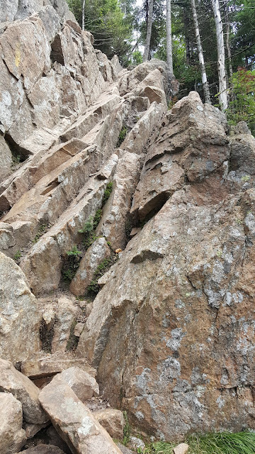 Sentier menant au sommet du mont East Osceola