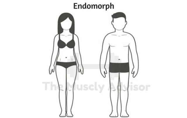 Endomorph body type