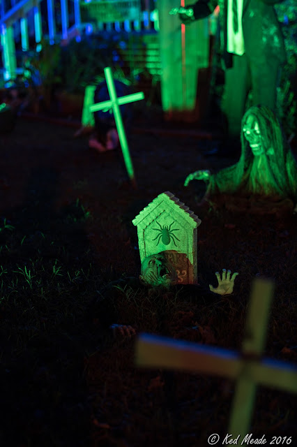 Something wicKED this way comes....: The Wicked Woods Cemetery ...