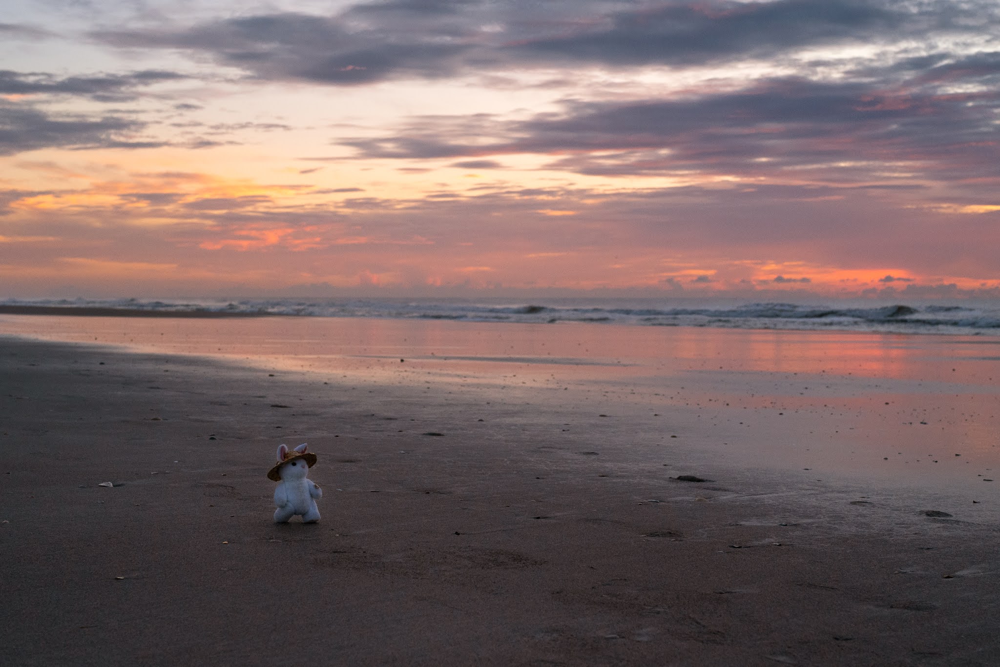 On a Sunrise Walk