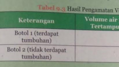 Aktivitas 9 4 Peran Tumbuhan Dalam Mencegah Erosi Ipa Kelas 9 Mkh Center