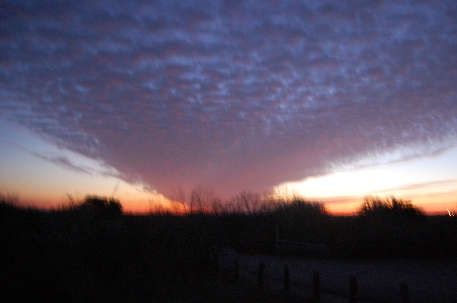 Booker Falcon State ParkFalcon Heights, Texas