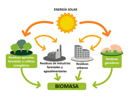 la biomasa