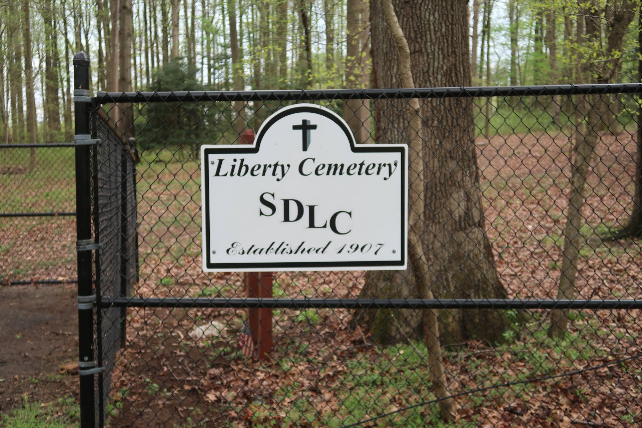 the Annandale Blog Explore a Park Pine Ridge Park displaced a small