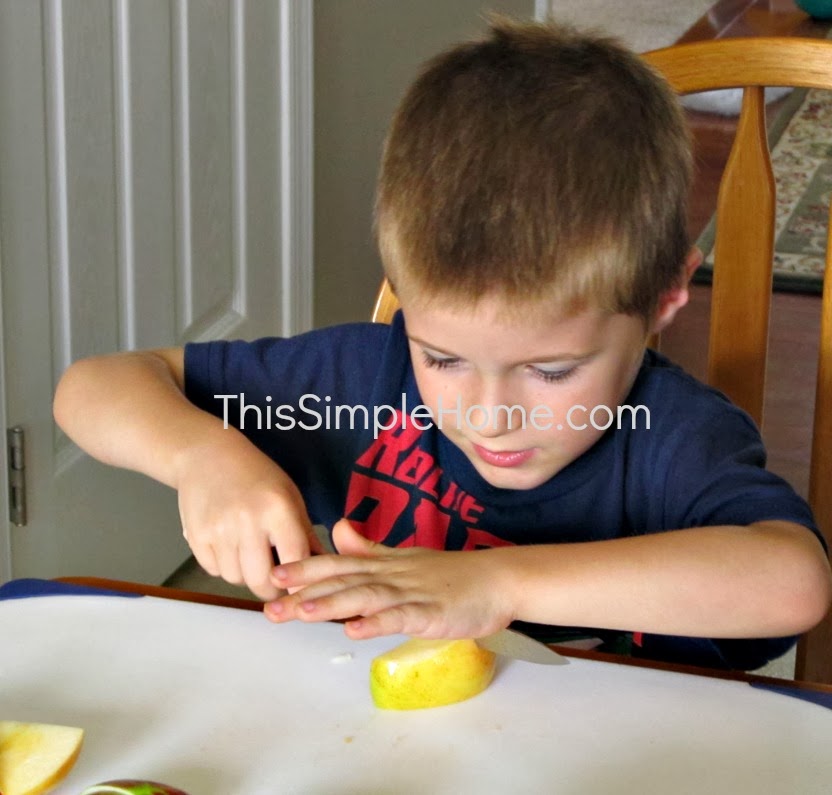 Applesauce Tips (with Kids) This Simple Home