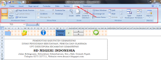 fungsi menu view pada excel