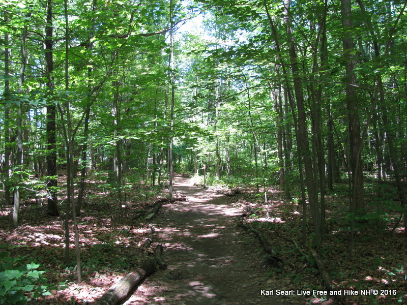 Live Free and Hike A NH Day Hiker's Blog Pine Island Park and Some