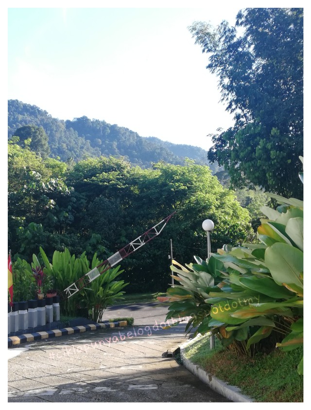 Hayati kehijauan alam di DEDAUN LANGAT RESORT, Hulu Langat. Hayati kehijauan alam di DEDAUN LANGAT RESORT, Hulu Langat.