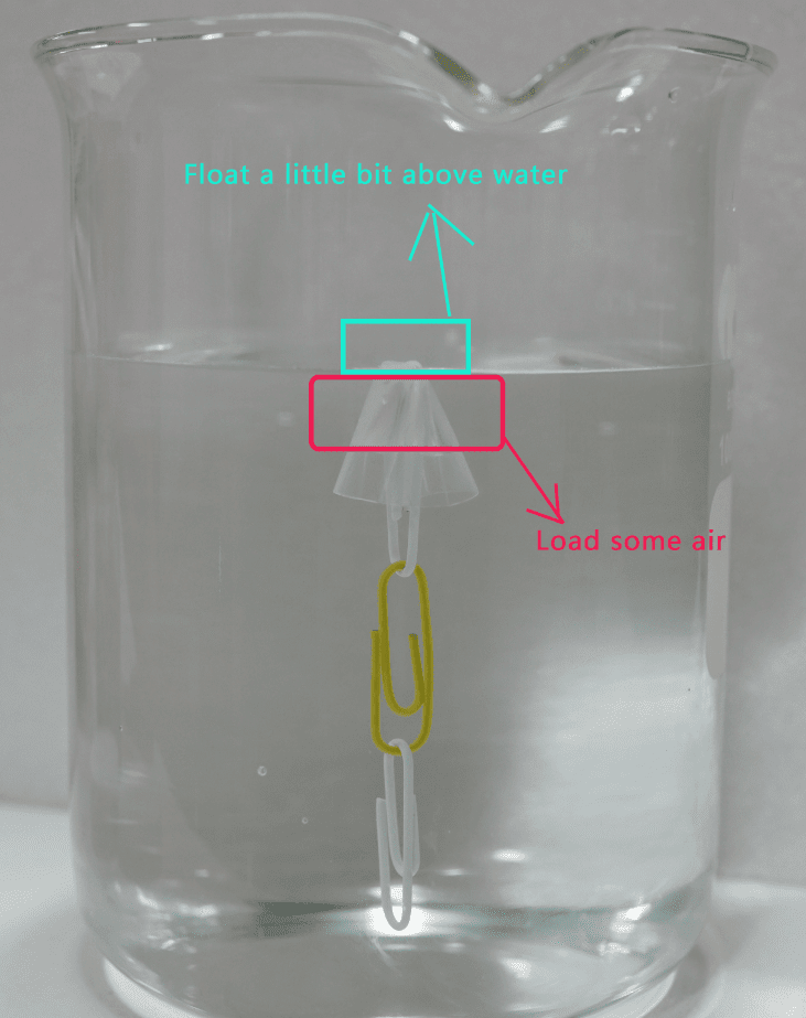 How to Make Cartesian Bottle Diver? Science Experiments for Kids