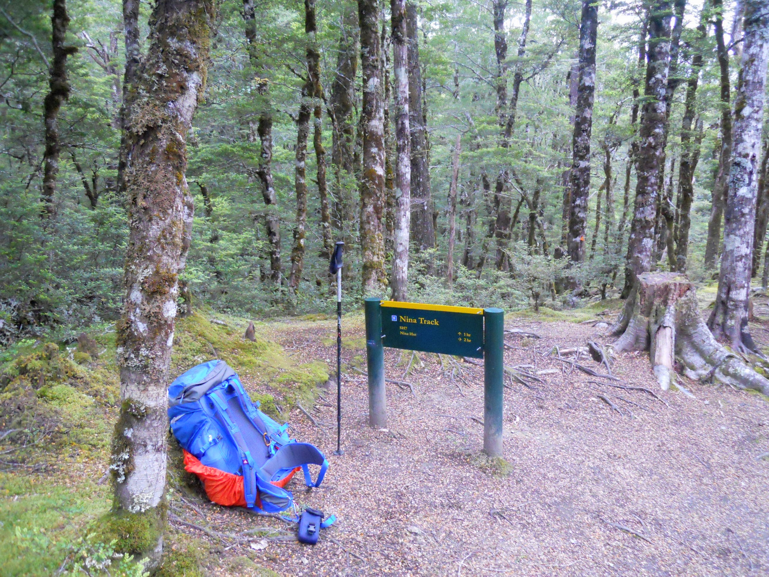Tramping in the New Zealand backcountry NZ Bush Adventures New