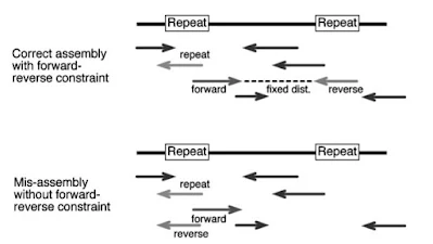 GENOME WIDE ANALYSIS: Genome mapping,assembly and comparison (#bioinformatics)(#biochemistry)(#biotechnology)(#ipumusings)