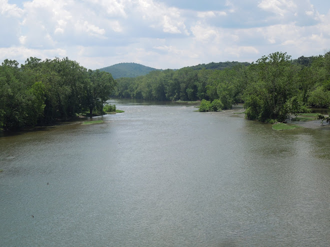 The Shenandoah Vegan