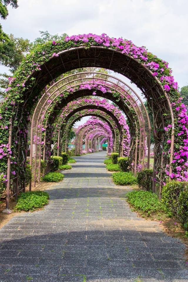 صور ساحرة مأخوذه من أجمل أماكن الطبيعة,,