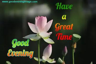 Good evening pictures Good evening pictures