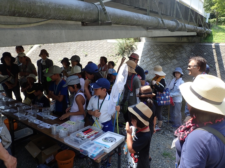 7月31日 ラジオ関西イベント 知明湖キャンプ場 トンボ池
