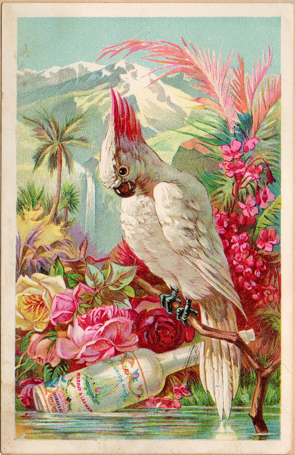 Vintage Victorian Cards 96
