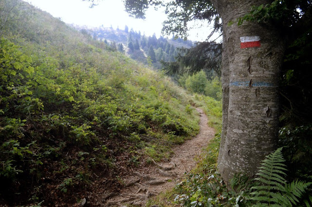 cima parì rifugio pernici