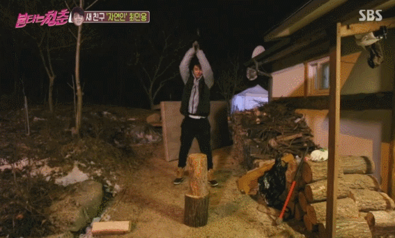 ss3.gif