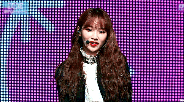 혼자보기 아까운 여돌 댕댕미 | 인스티즈